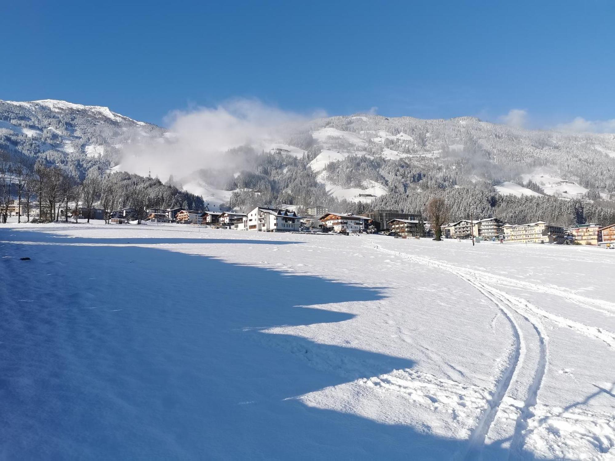 Sunalpin - Zillertal Apartment Fuegen